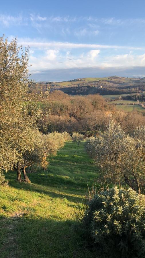 Il Capanno Asciano Exterior foto