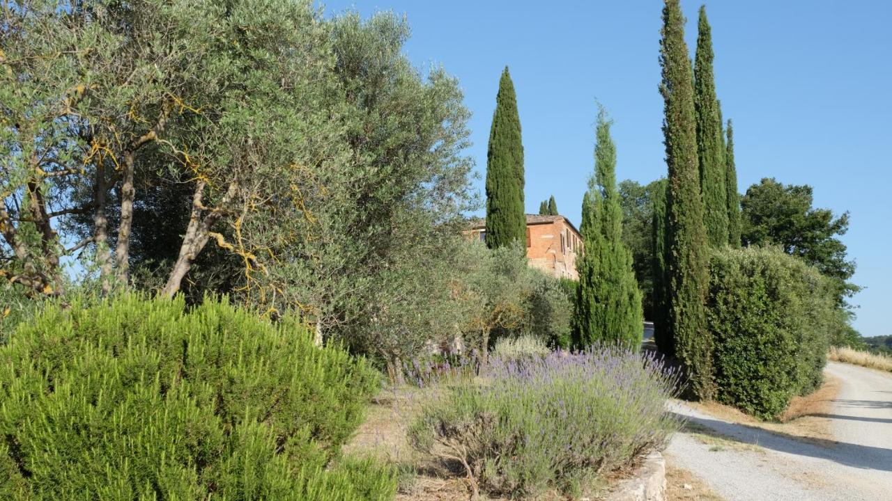 Il Capanno Asciano Exterior foto